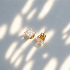 Maxx Studs