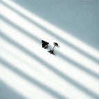 Troy Studs - For Men